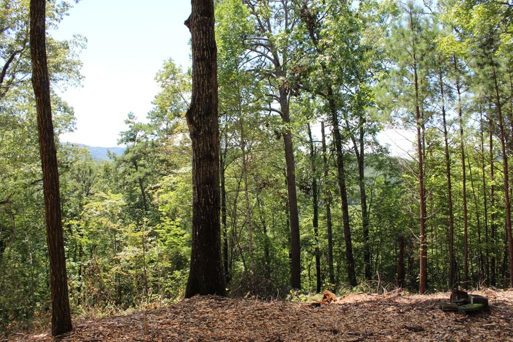 Lot 5J Eagle Fork Trail, Hayesville NC 28904 - Photo