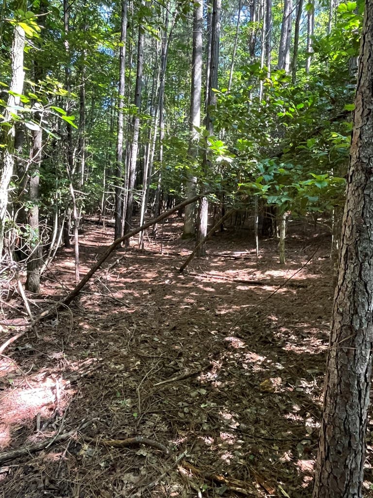 Lot 17 Hidden Branch Drive, Young Harris GA 30582 - Photo
