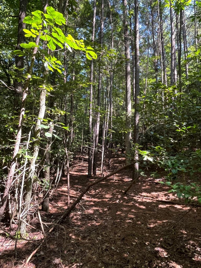 Lot 17 Hidden Branch Drive, Young Harris GA 30582 - Photo