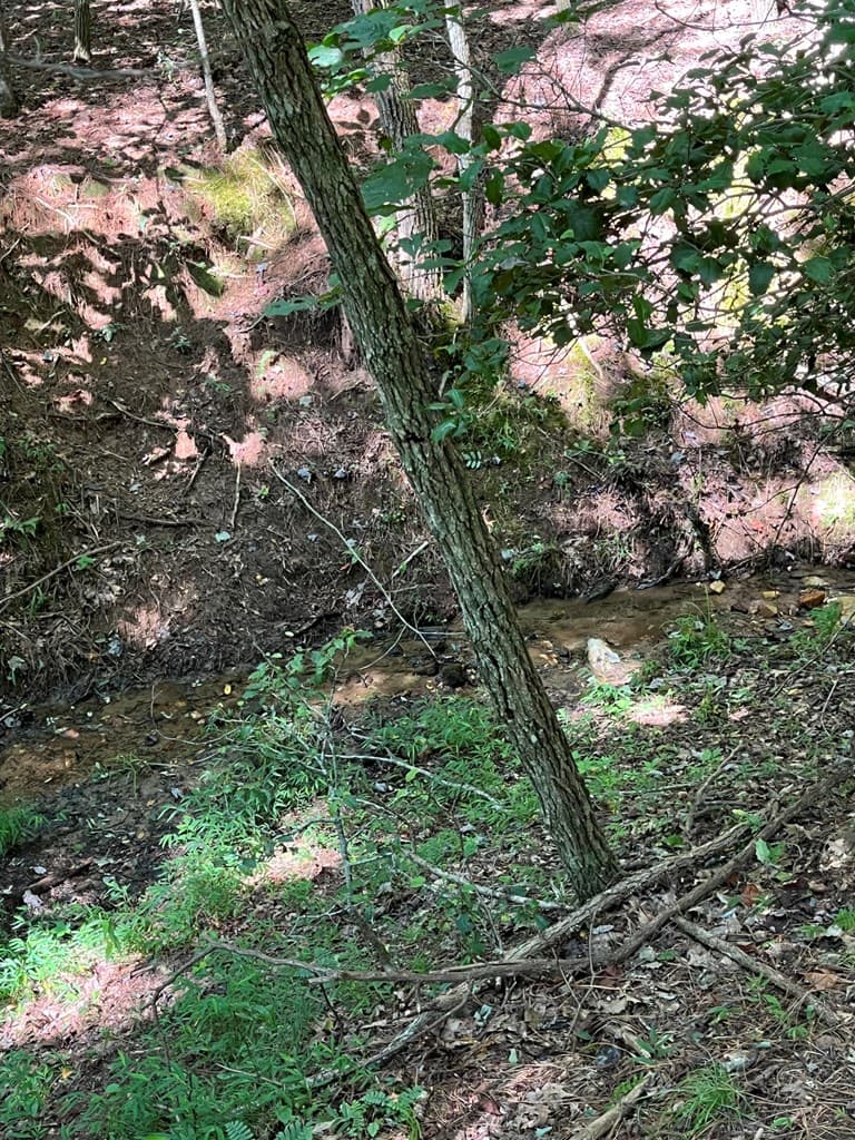 Lot 17 Hidden Branch Drive, Young Harris GA 30582 - Photo