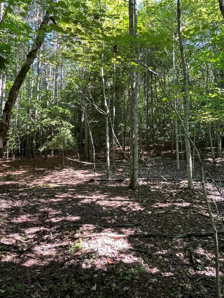 Lot 17 Hidden Branch Drive, Young Harris GA 30582 - Primary photo