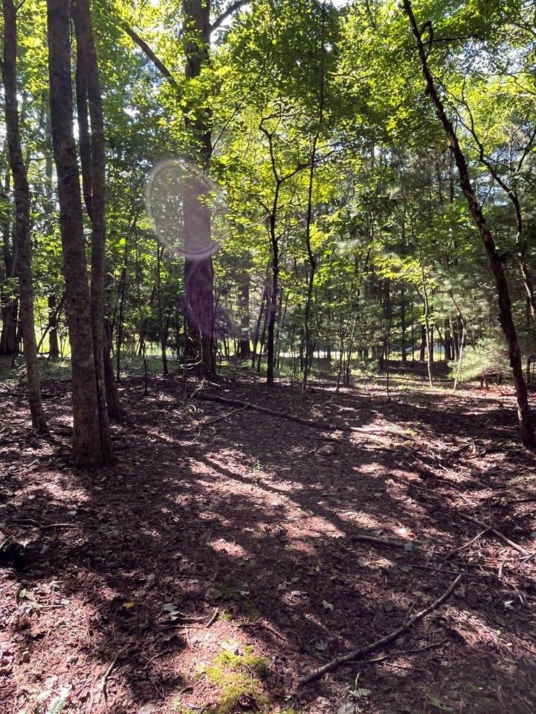 Lot 17 Hidden Branch Drive, Young Harris GA 30582 - Photo