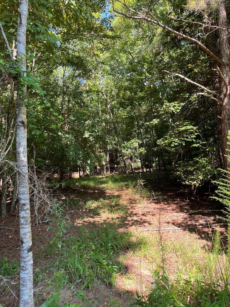 Lot 17 Hidden Branch Drive, Young Harris GA 30582 - Photo