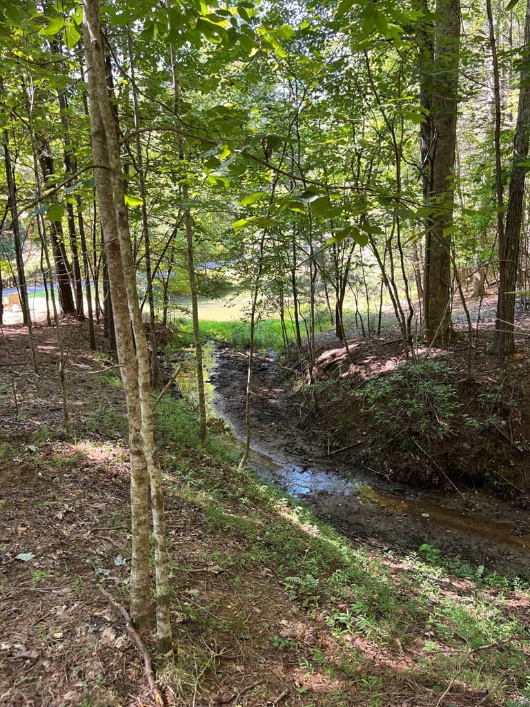 Lot 17 Hidden Branch Drive, Young Harris GA 30582 - Photo