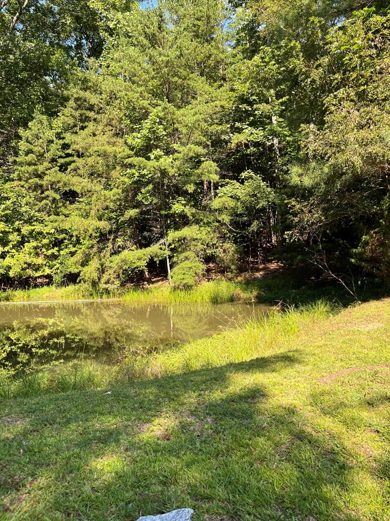 Lot 17 Hidden Branch Drive, Young Harris GA 30582 - Photo