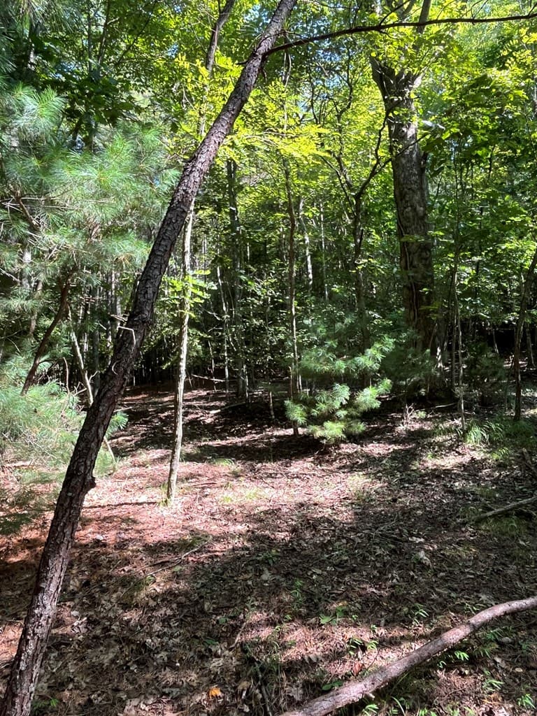 Lot 17 Hidden Branch Drive, Young Harris GA 30582 - Photo