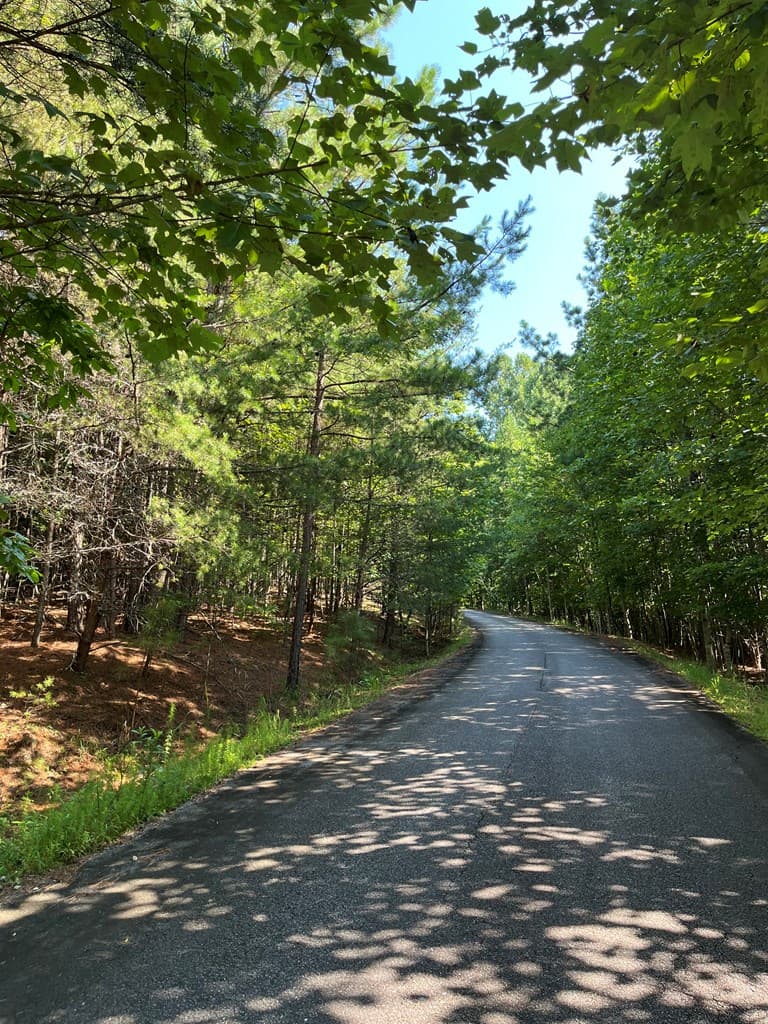 Lot 17 Hidden Branch Drive, Young Harris GA 30582 - Photo