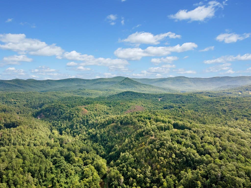 3.11 AC Cove Road, Jasper GA 30143 - Photo