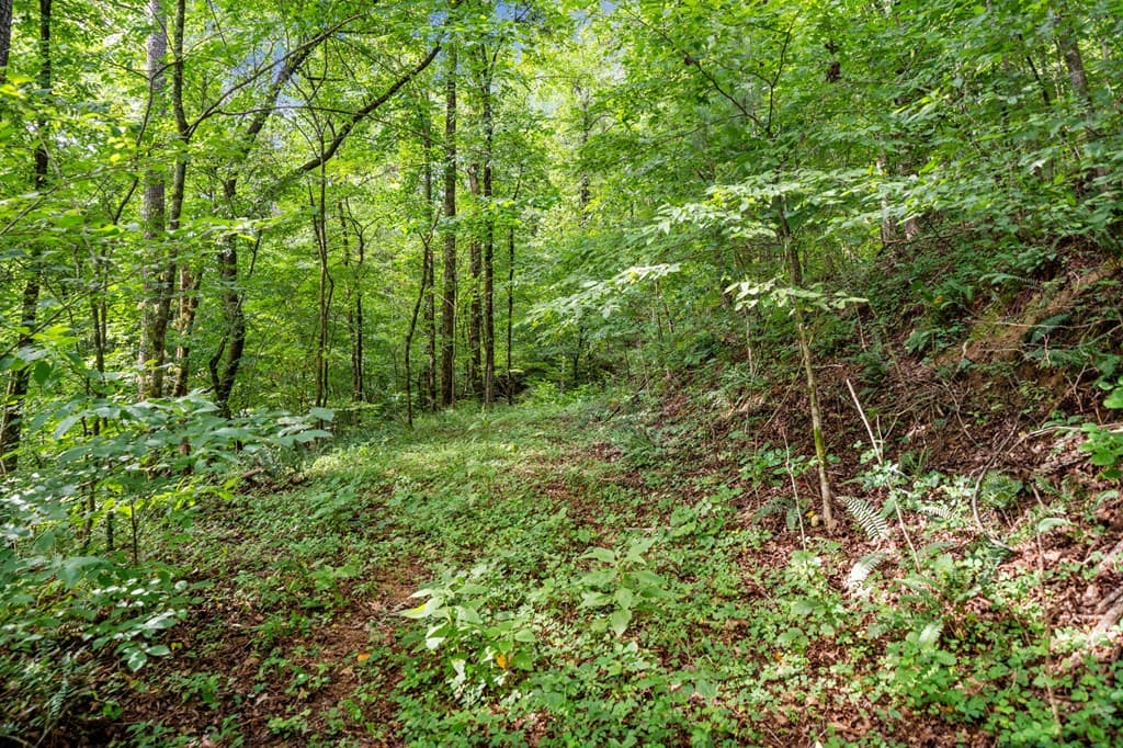 3.11 AC Cove Road, Jasper GA 30143 - Photo