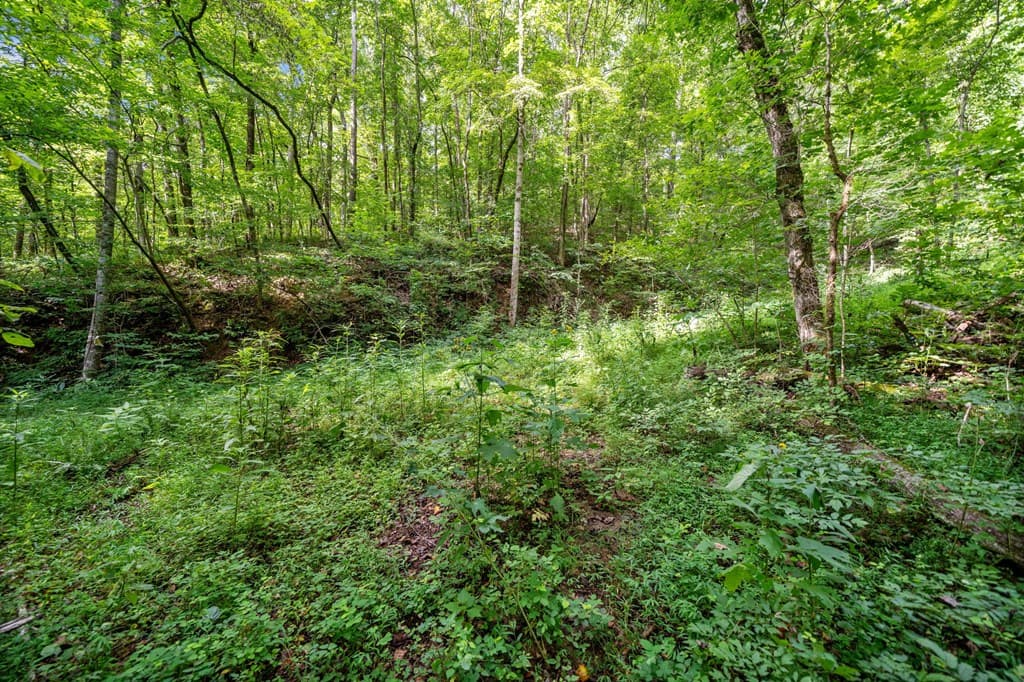 3.11 AC Cove Road, Jasper GA 30143 - Photo