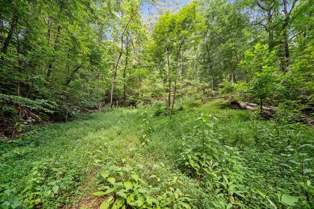 3.11 AC Cove Road, Jasper GA 30143 - Photo