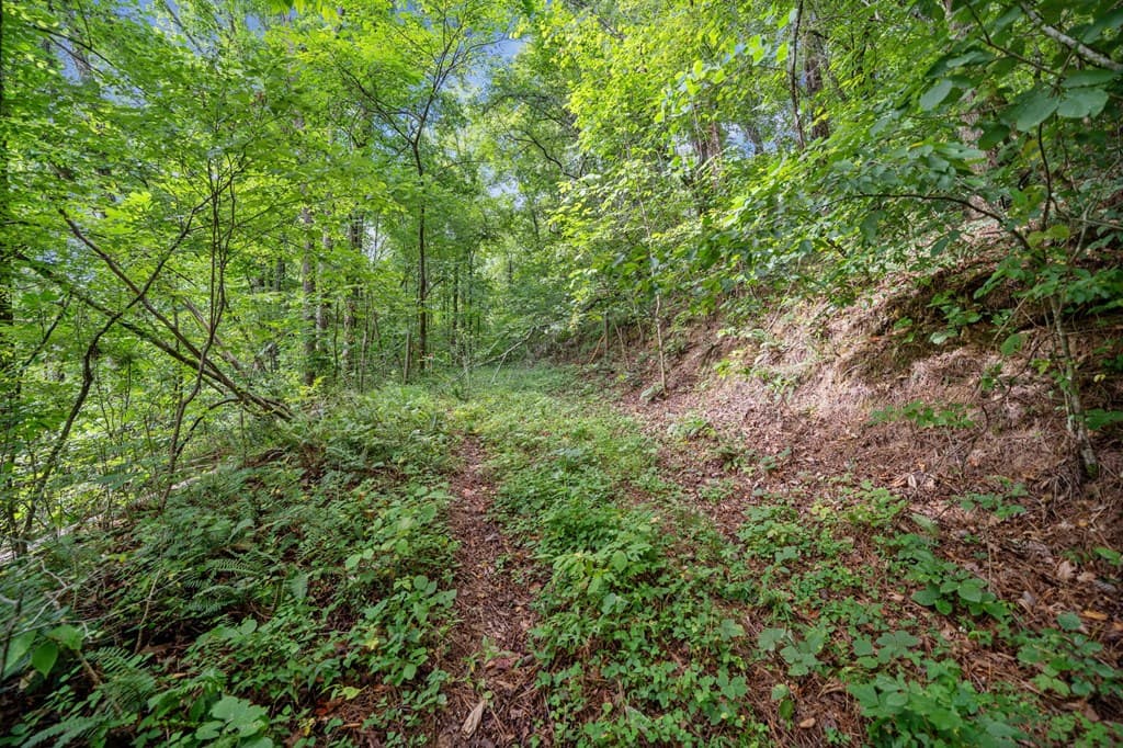 3.11 AC Cove Road, Jasper GA 30143 - Photo