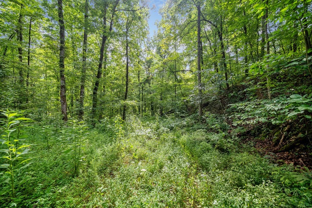 3.11 AC Cove Road, Jasper GA 30143 - Photo