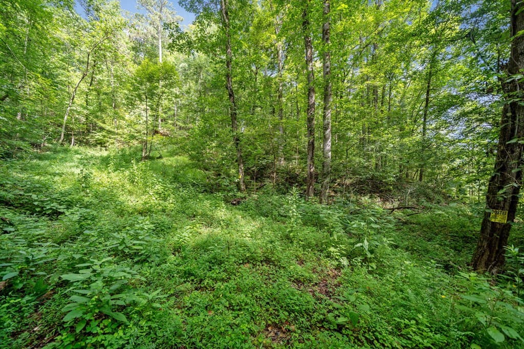 3.11 AC Cove Road, Jasper GA 30143 - Photo