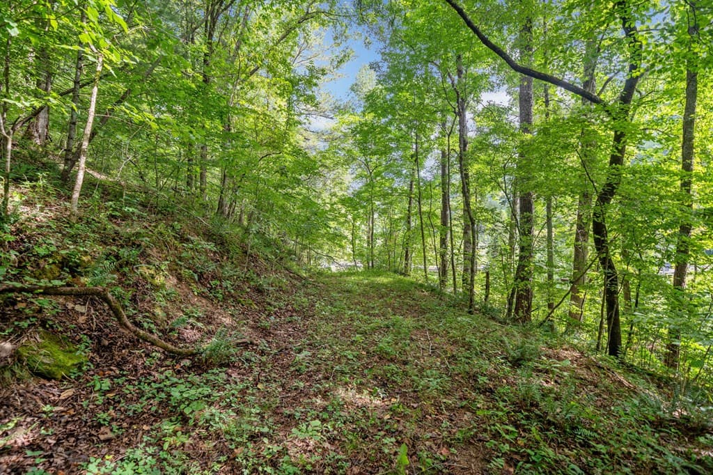 3.11 AC Cove Road, Jasper GA 30143 - Photo