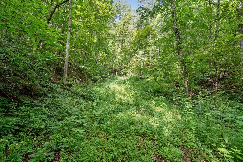 3.11 AC Cove Road, Jasper GA 30143 - Photo