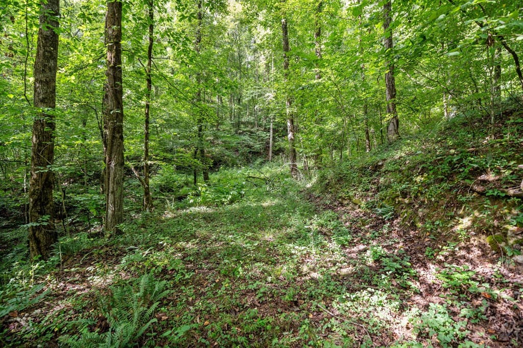 3.11 AC Cove Road, Jasper GA 30143 - Photo