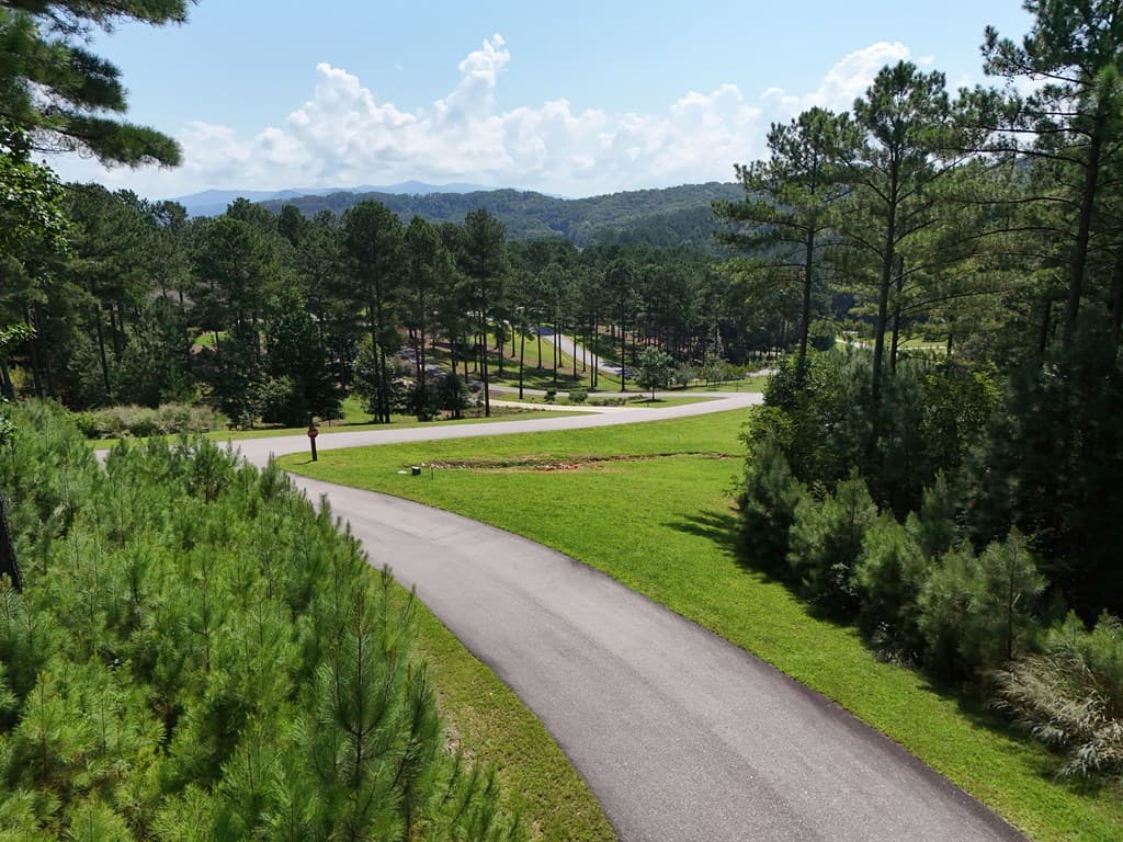 Lot 121 Stables Rise, Blairsville GA 30512 - Photo