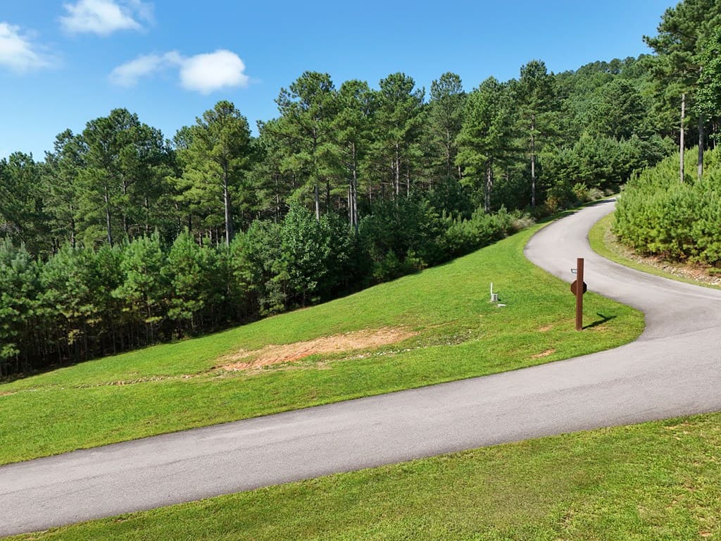Lot 121 Stables Rise, Blairsville GA 30512 - Photo