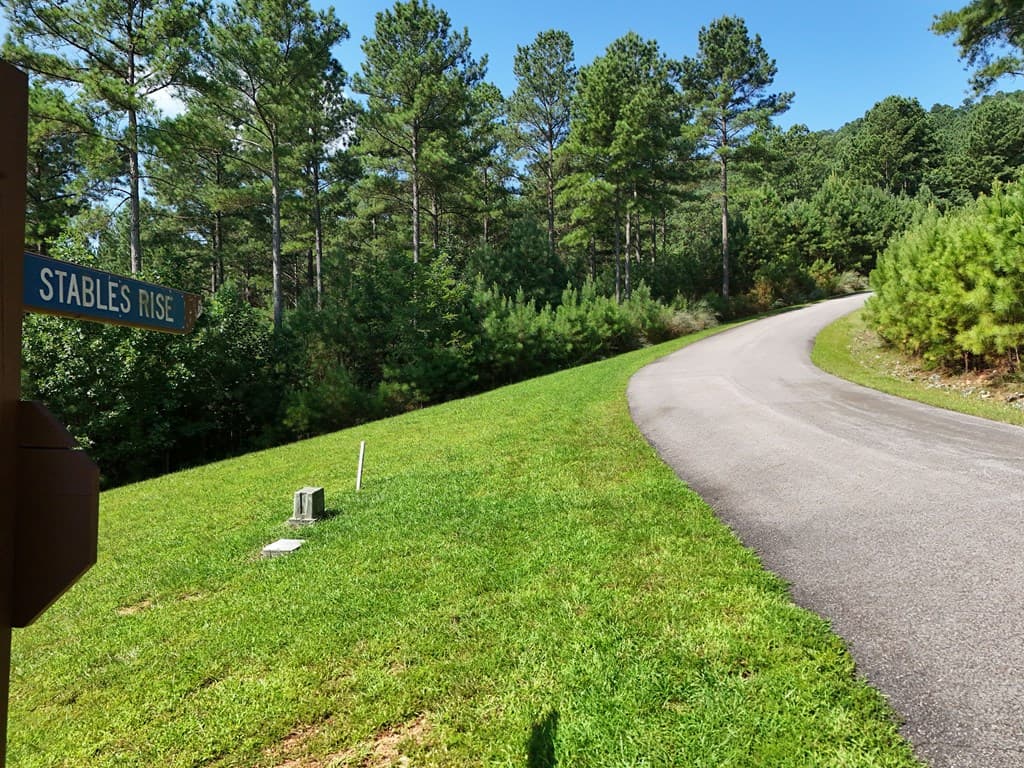 Lot 121 Stables Rise, Blairsville GA 30512 - Photo