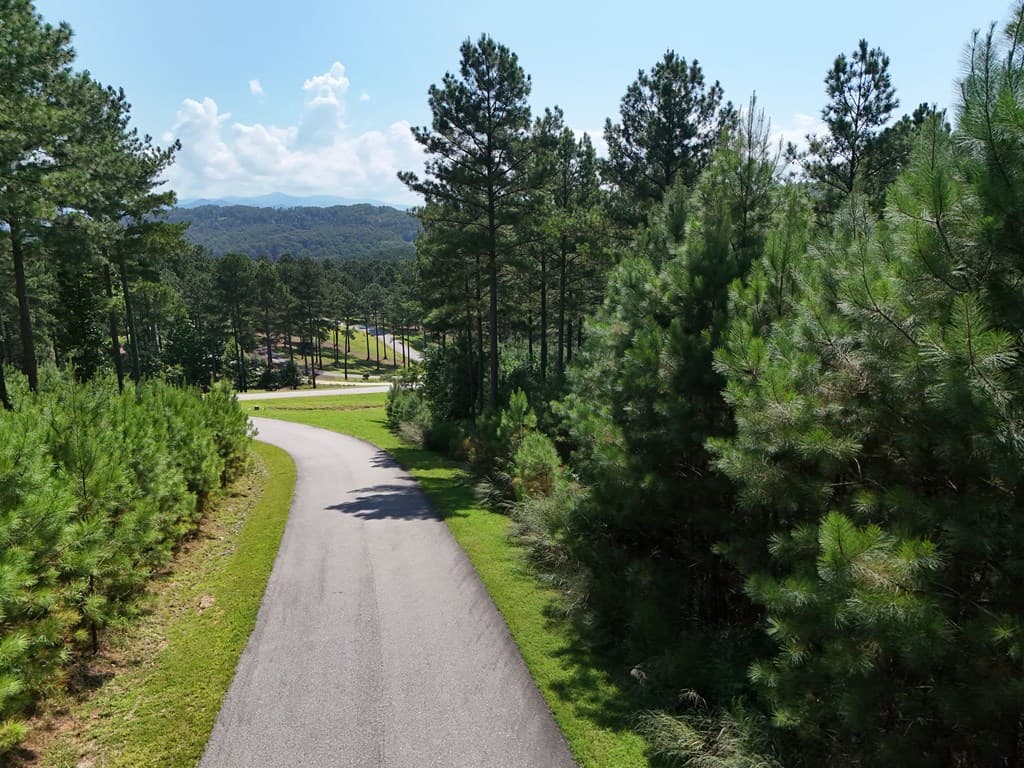 Lot 121 Stables Rise, Blairsville GA 30512 - Photo