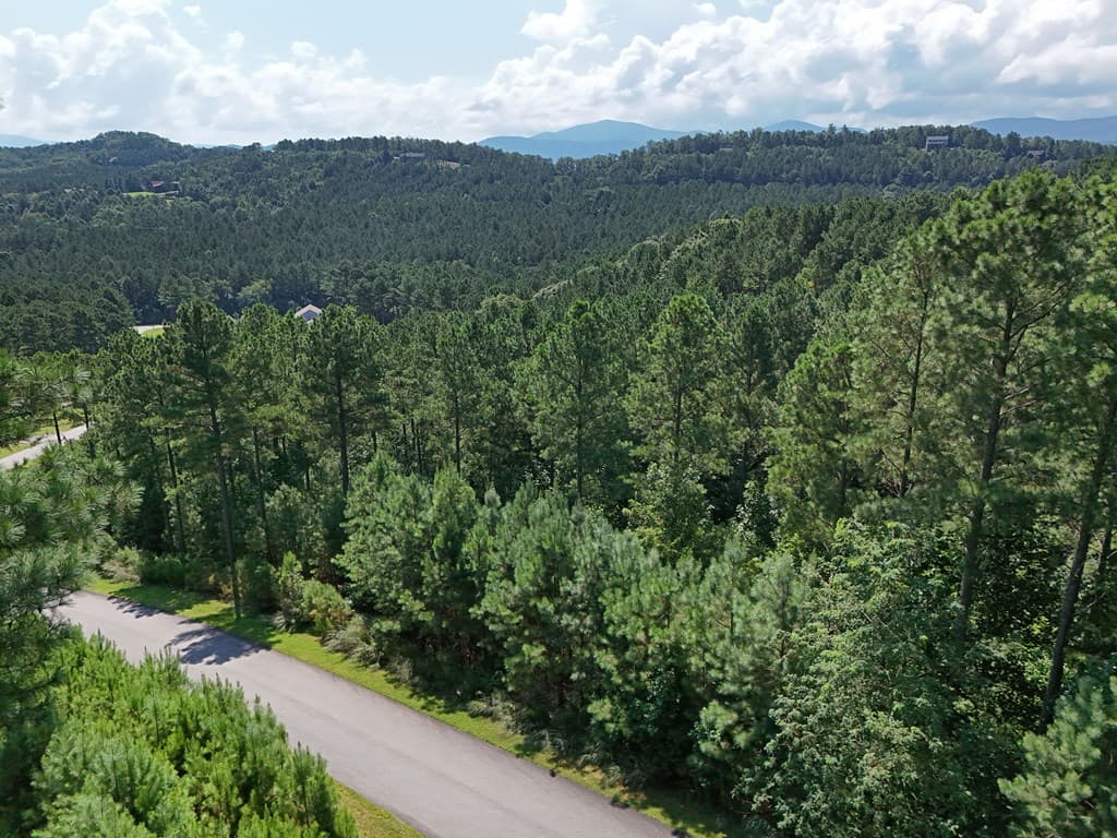Lot 121 Stables Rise, Blairsville GA 30512 - Photo