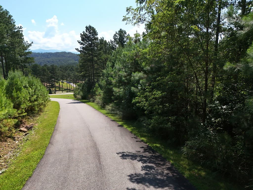 Lot 121 Stables Rise, Blairsville GA 30512 - Photo