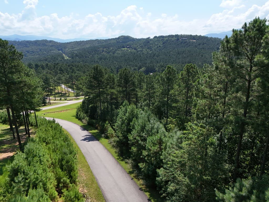 Lot 121 Stables Rise, Blairsville GA 30512 - Photo