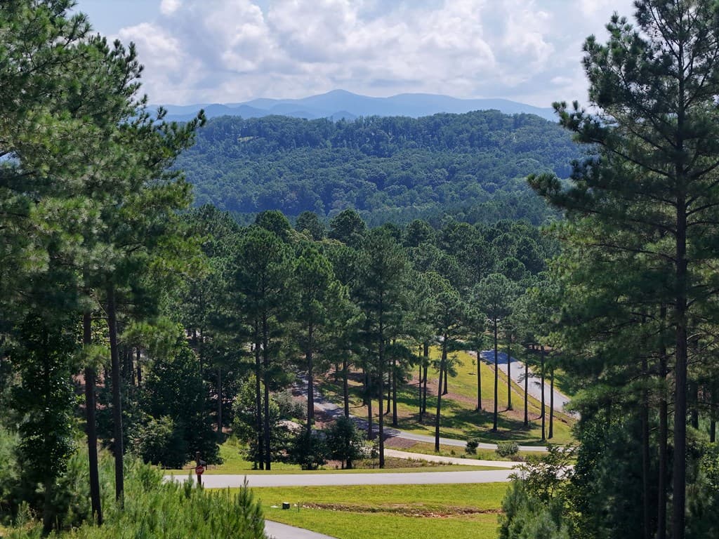 Lot 121 Stables Rise, Blairsville GA 30512 - Photo