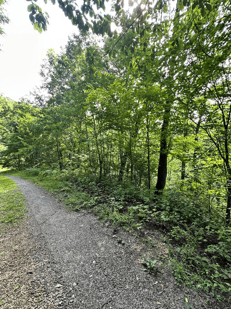 Lot 19 Burnt Leaf, Hayesville NC 28904 - Photo