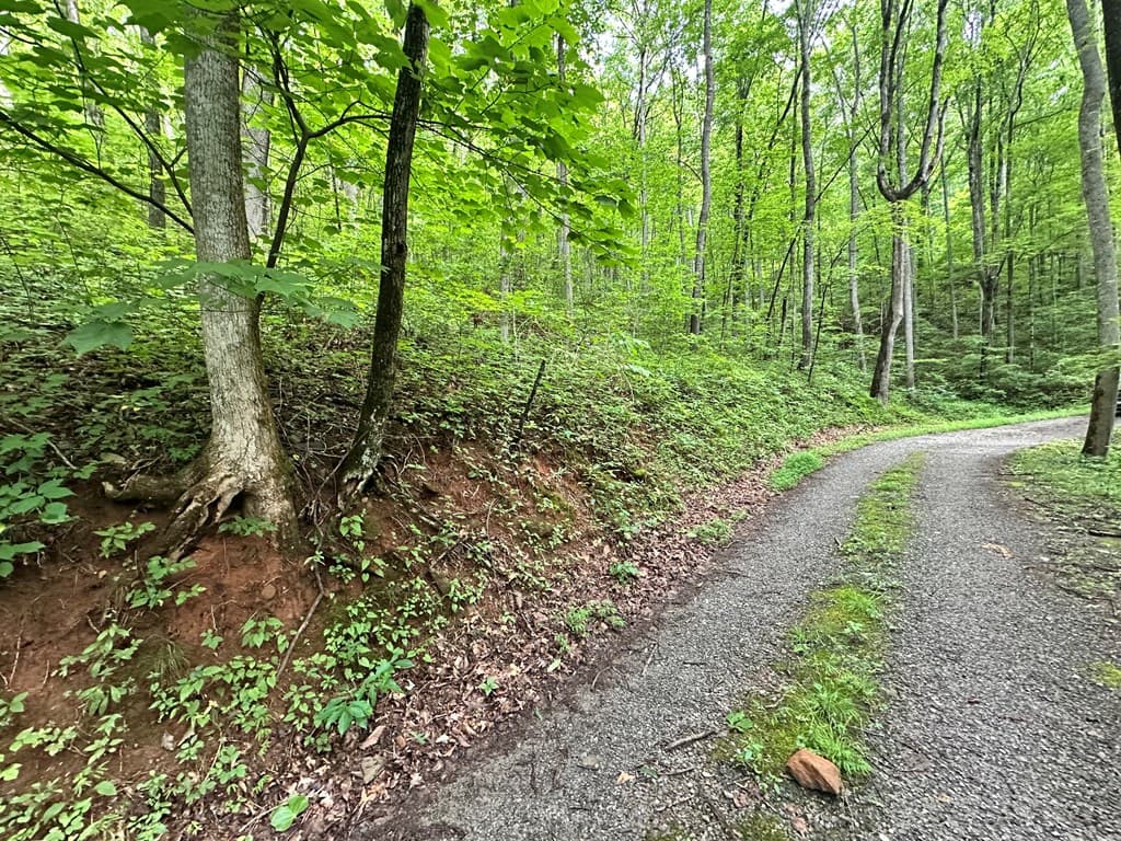 Lot 19 Burnt Leaf, Hayesville NC 28904 - Photo