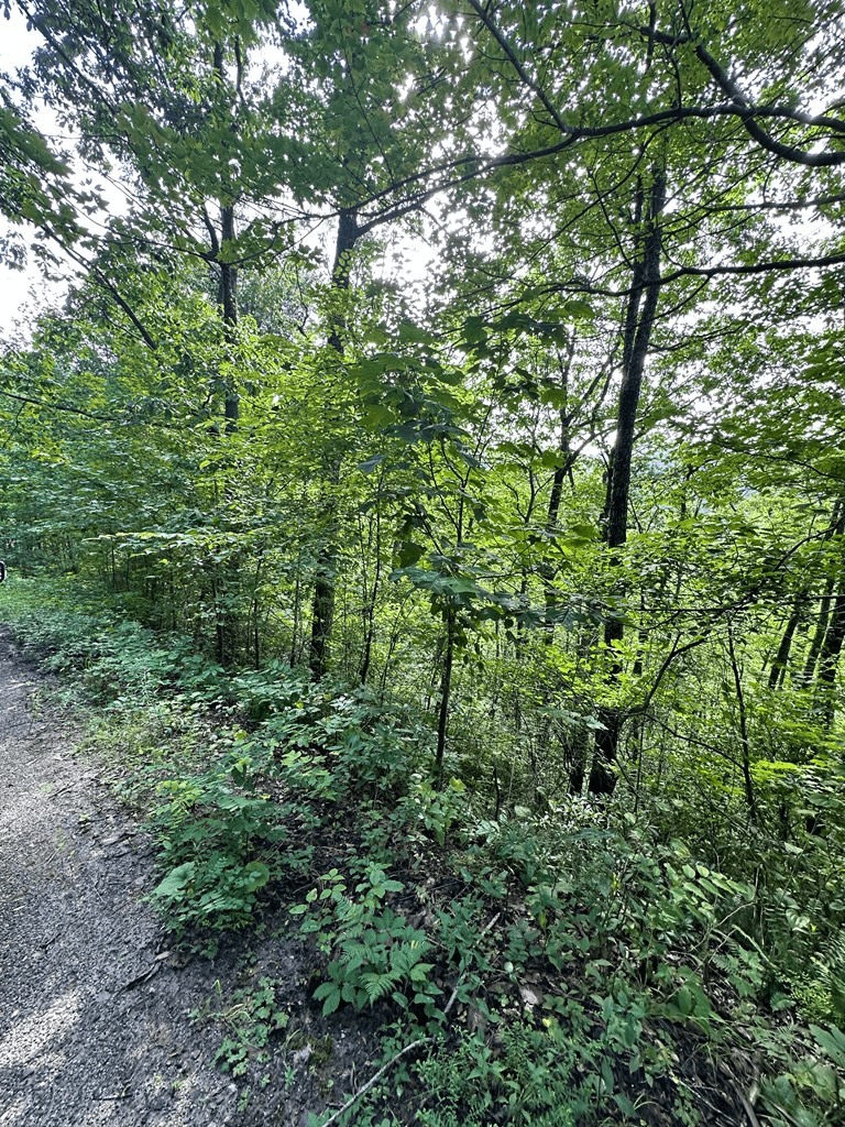 Lot 19 Burnt Leaf, Hayesville NC 28904 - Photo