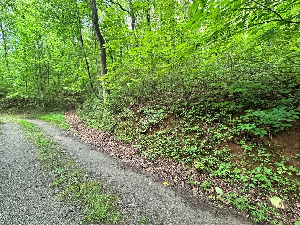 Lot 19 Burnt Leaf, Hayesville NC 28904 - Photo