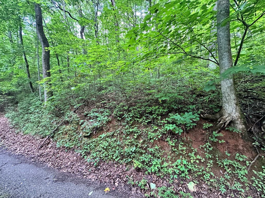 Lot 19 Burnt Leaf, Hayesville NC 28904 - Photo