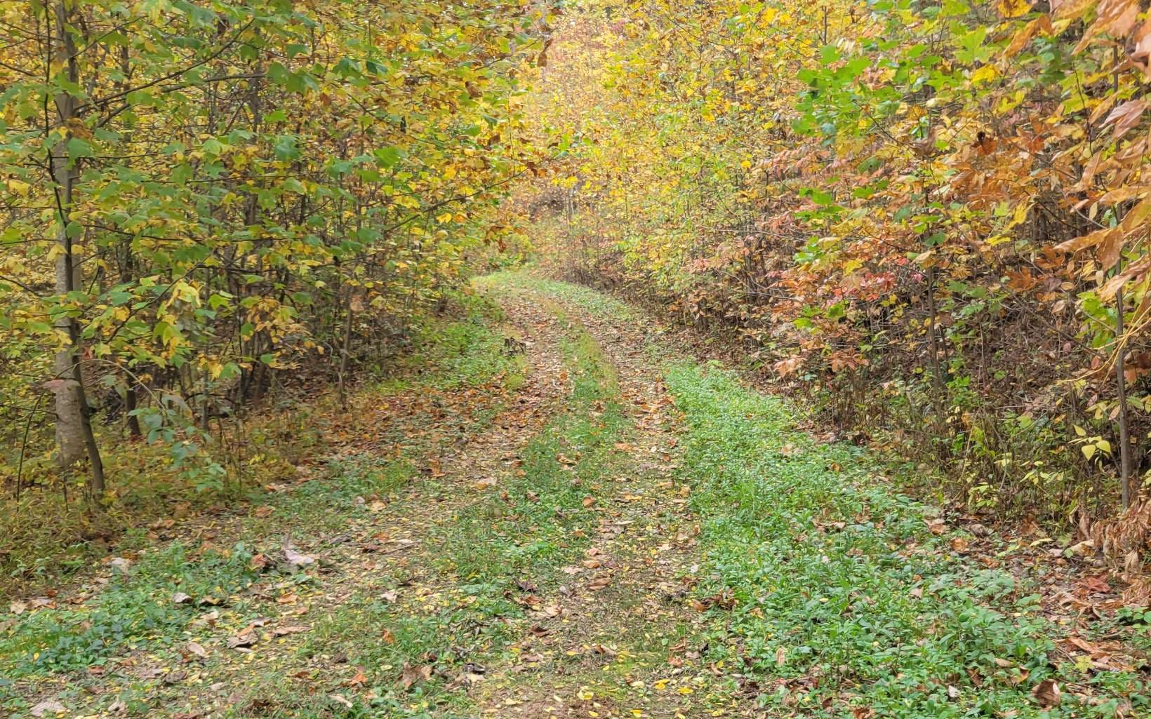 14 AC Old Burnt Mountain, Ellijay GA 30540 - Photo