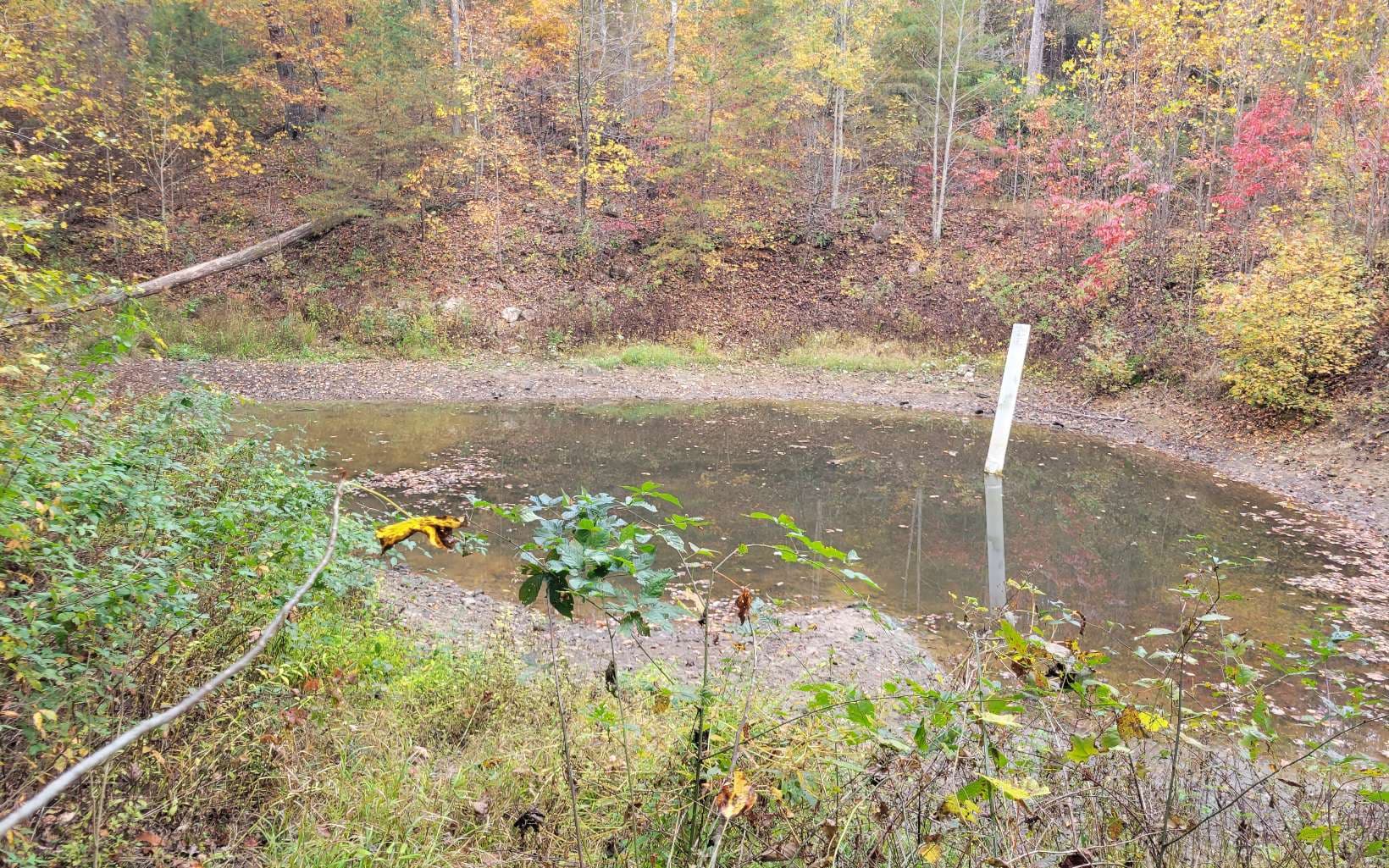14 AC Old Burnt Mountain, Ellijay GA 30540 - Photo