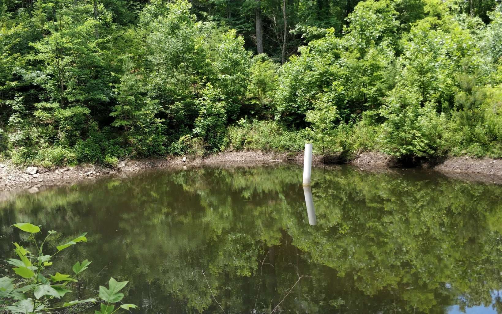 14 AC Old Burnt Mountain, Ellijay GA 30540 - Photo