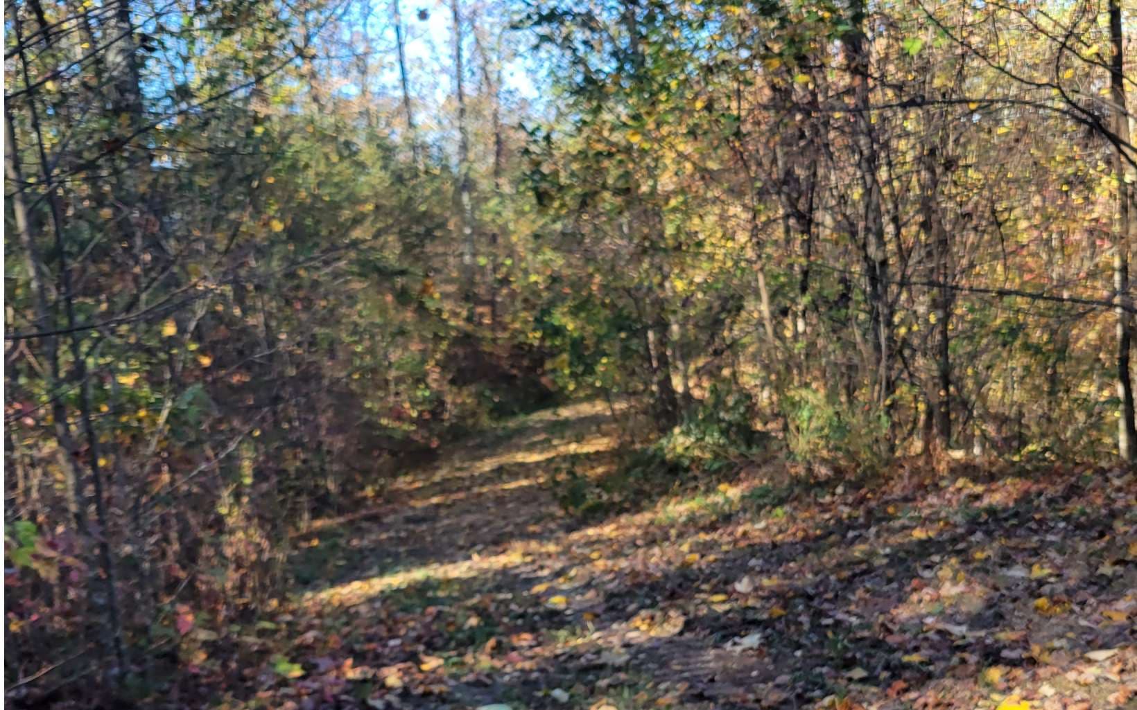 14 AC Old Burnt Mountain, Ellijay GA 30540 - Photo