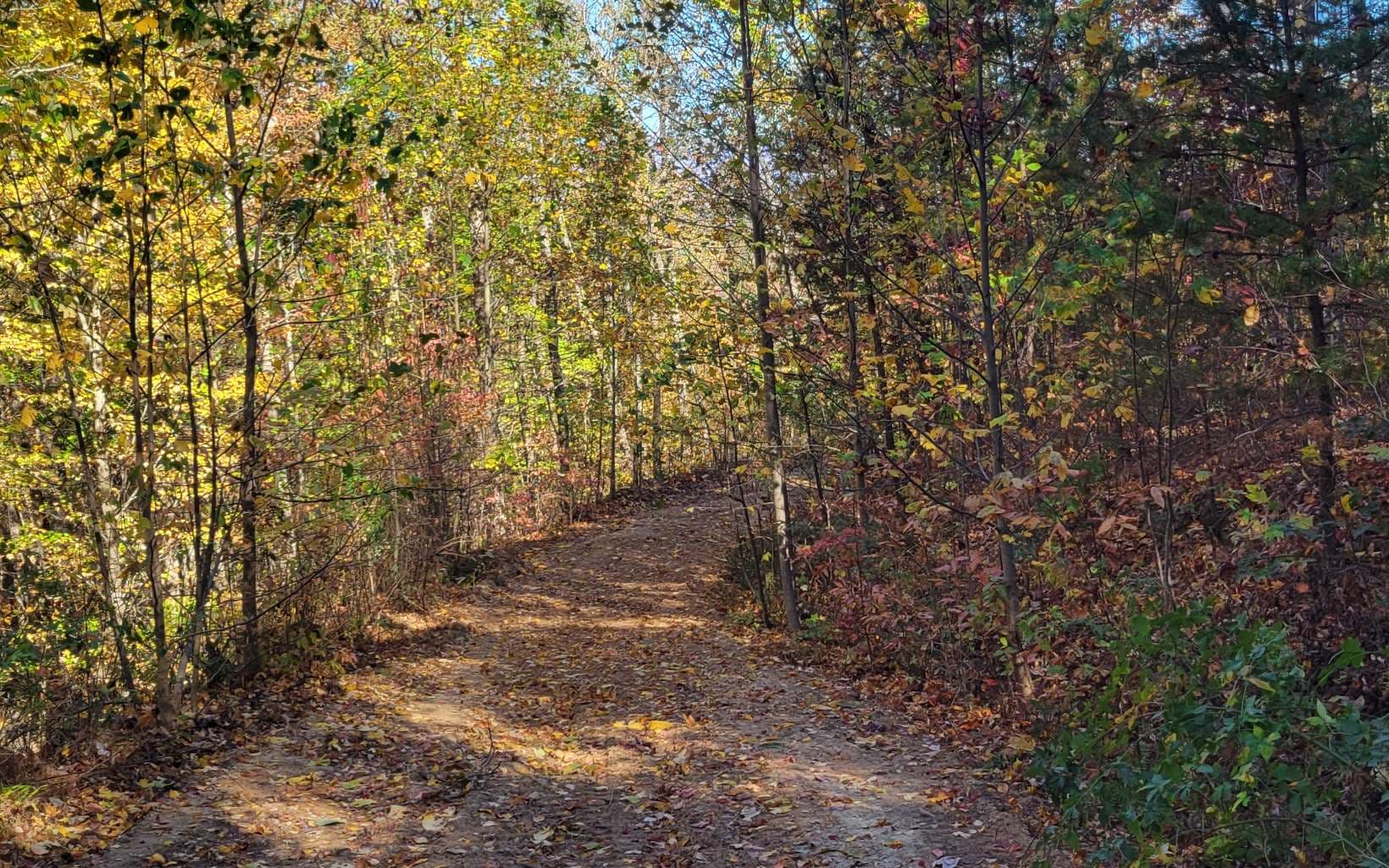 14 AC Old Burnt Mountain, Ellijay GA 30540 - Primary photo