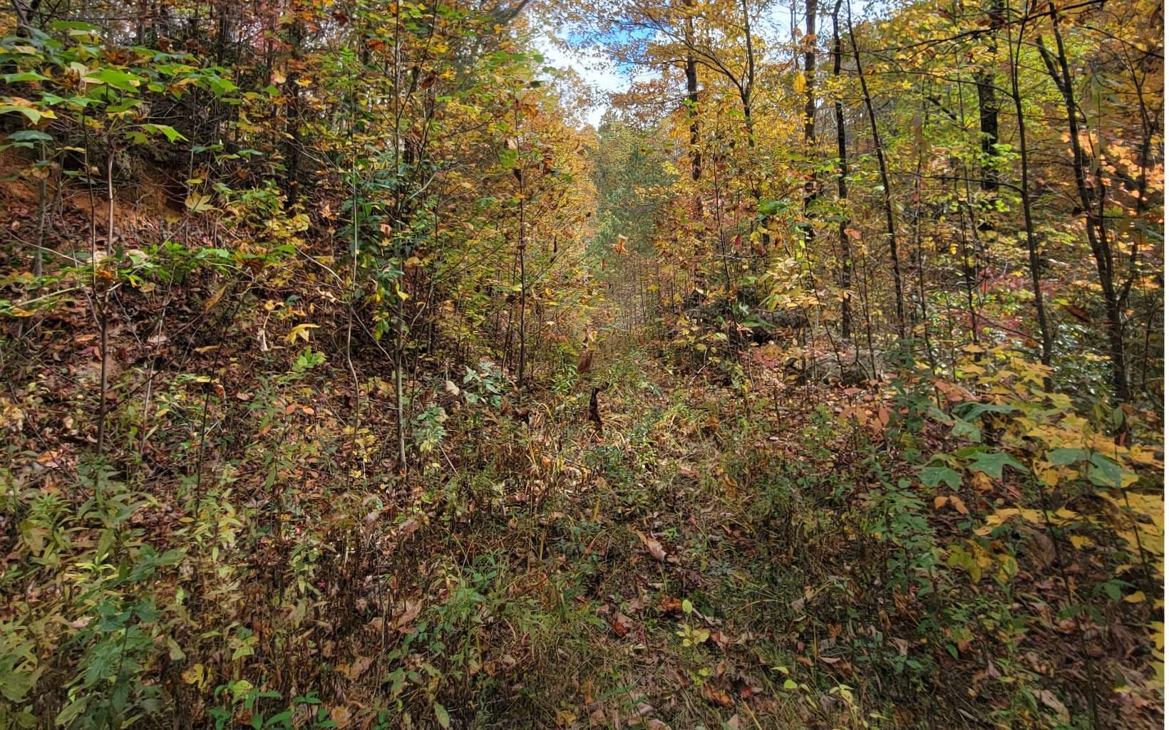 14 AC Old Burnt Mountain, Ellijay GA 30540 - Photo
