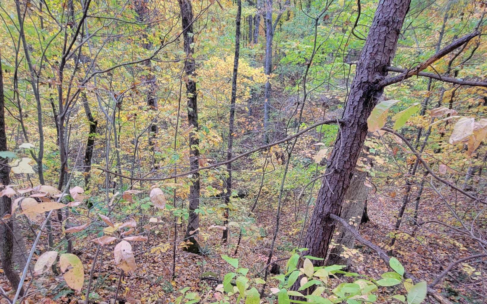 14 AC Old Burnt Mountain, Ellijay GA 30540 - Photo
