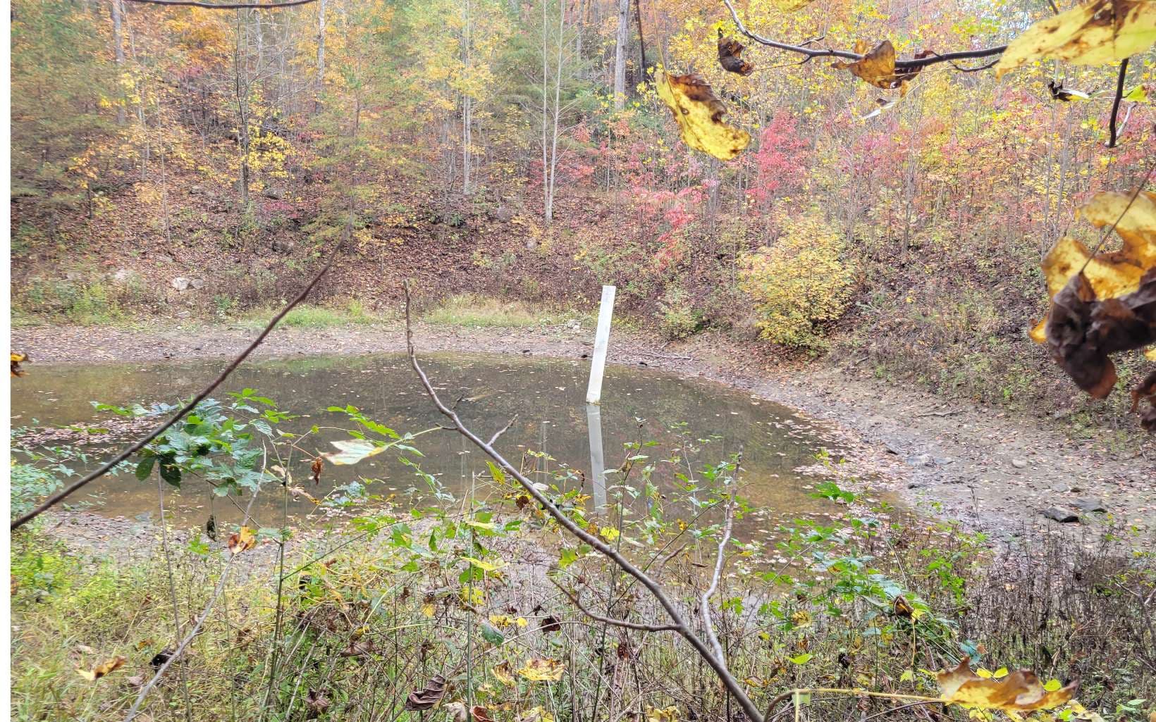 14 AC Old Burnt Mountain, Ellijay GA 30540 - Photo