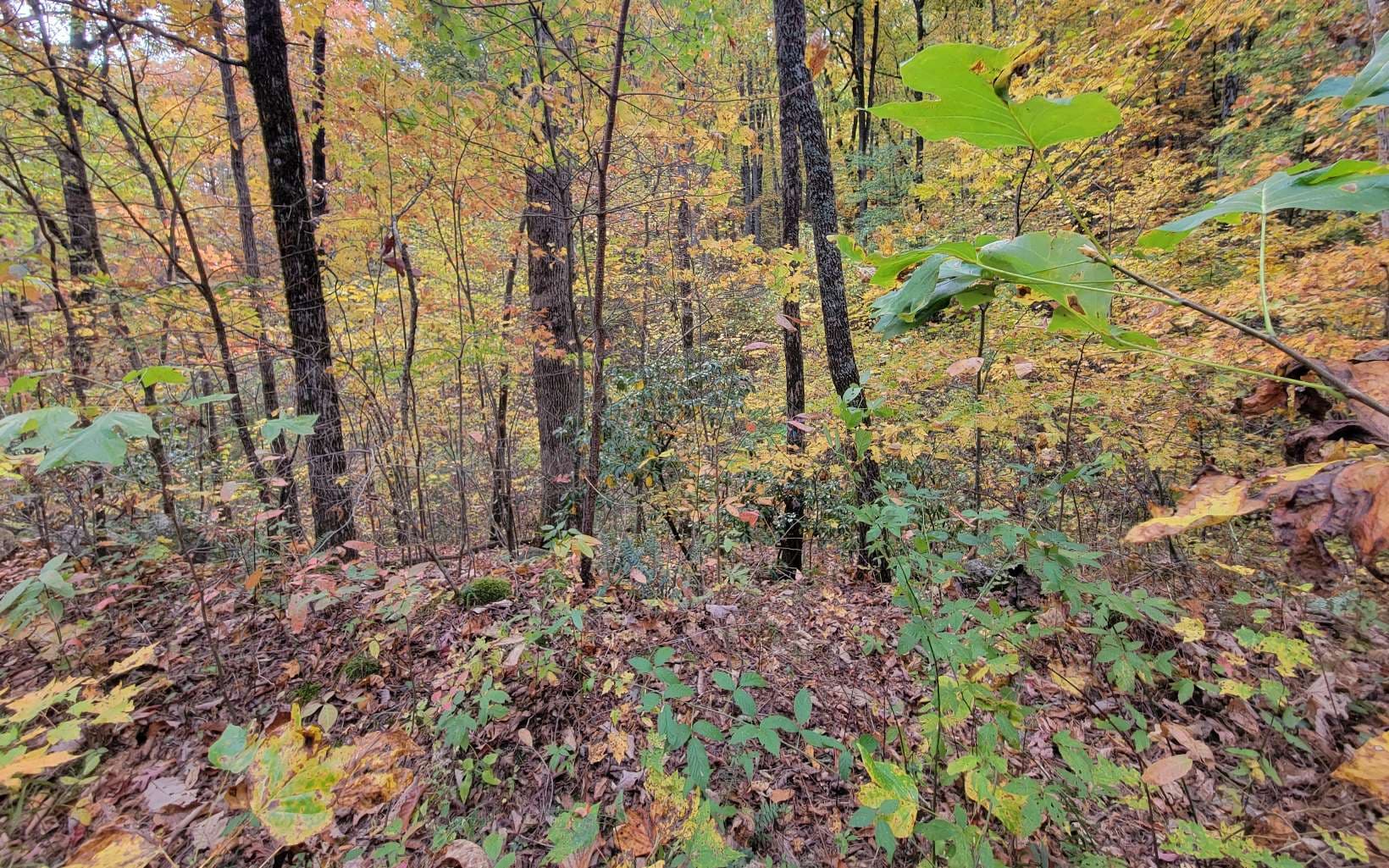 14 AC Old Burnt Mountain, Ellijay GA 30540 - Photo