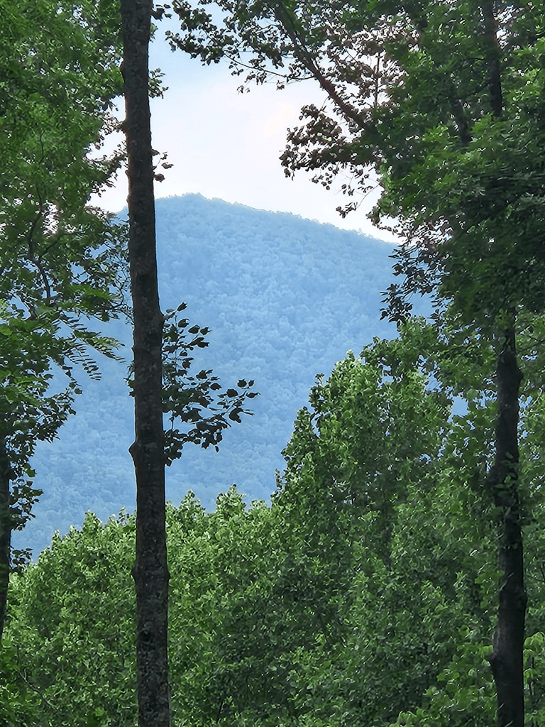 LT M212E Walnut Ridge, Ellijay GA 30540 - Photo