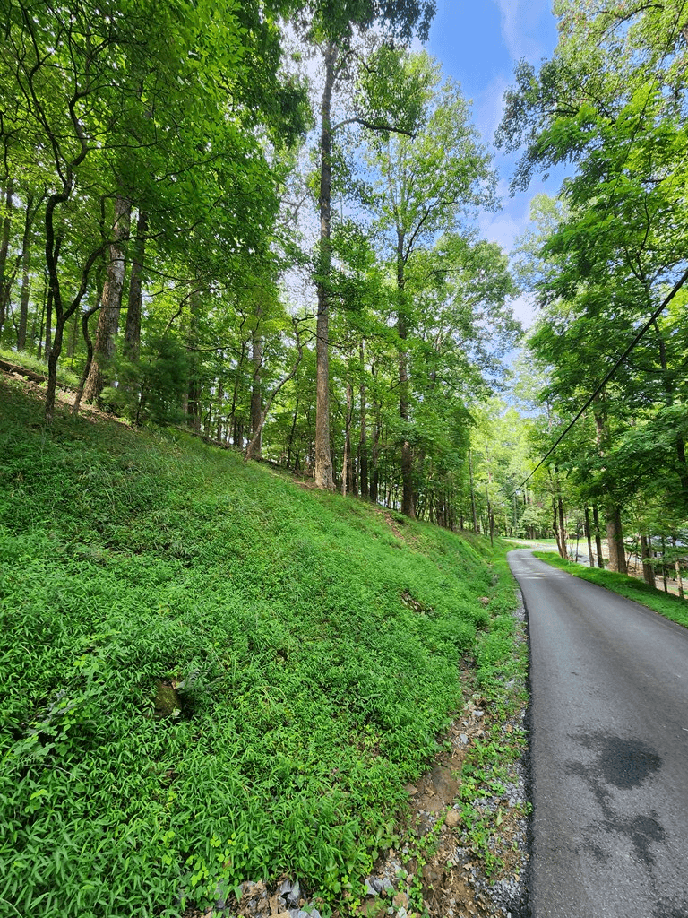 LT M212E Walnut Ridge, Ellijay GA 30540 - Photo