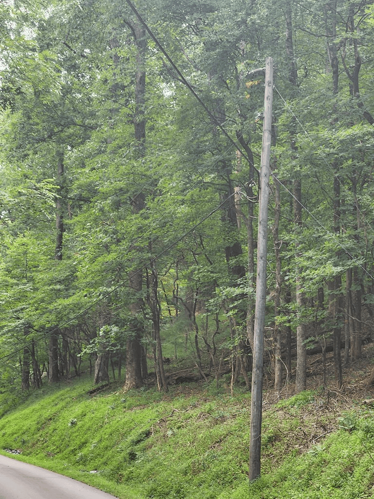 LT M212E Walnut Ridge, Ellijay GA 30540 - Photo