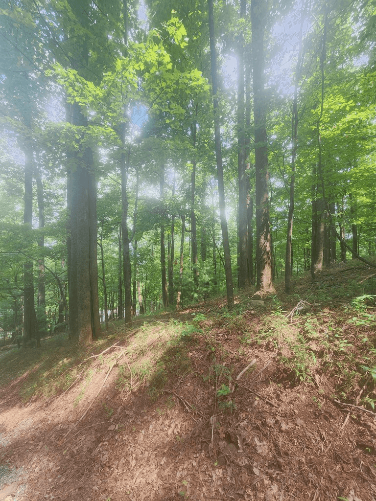 LT M212E Walnut Ridge, Ellijay GA 30540 - Photo