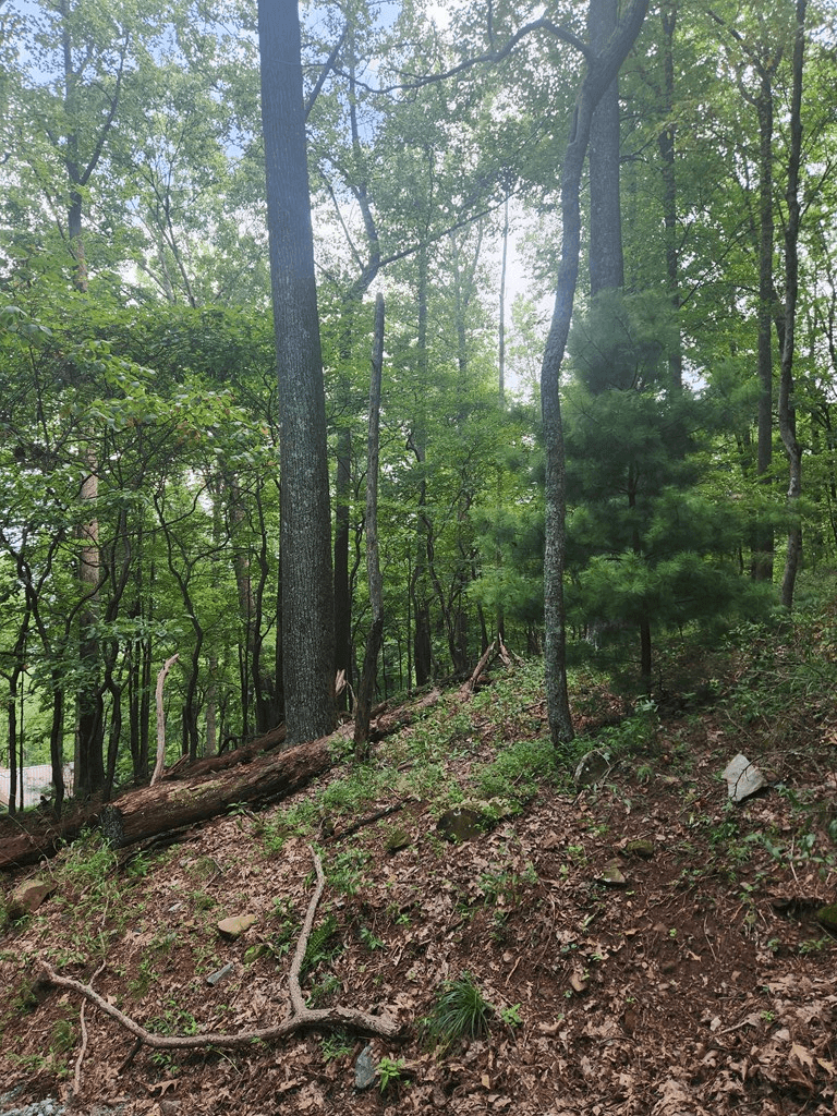LT M212E Walnut Ridge, Ellijay GA 30540 - Photo