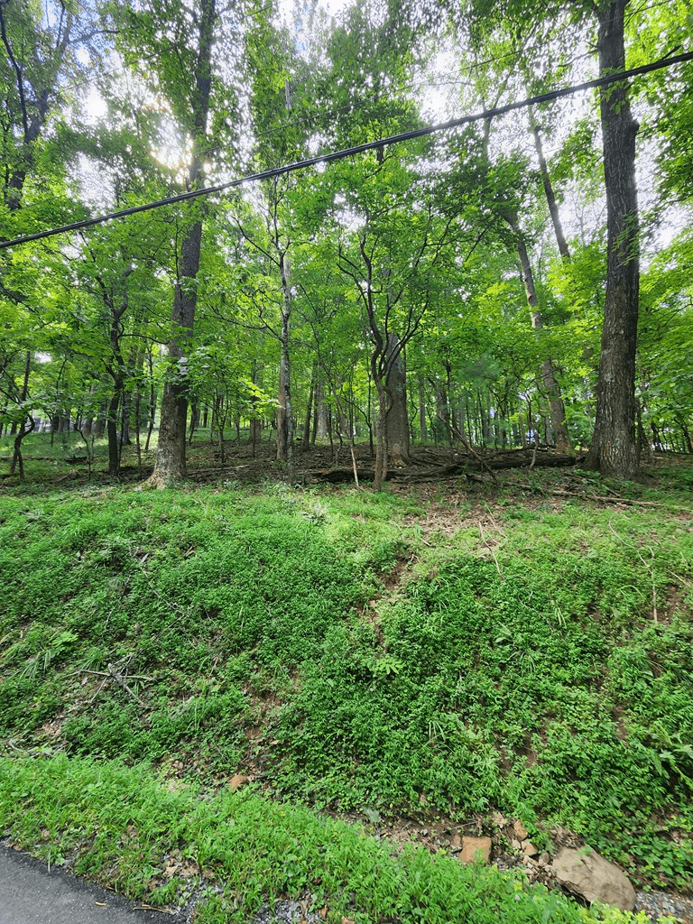 LT M212E Walnut Ridge, Ellijay GA 30540 - Photo