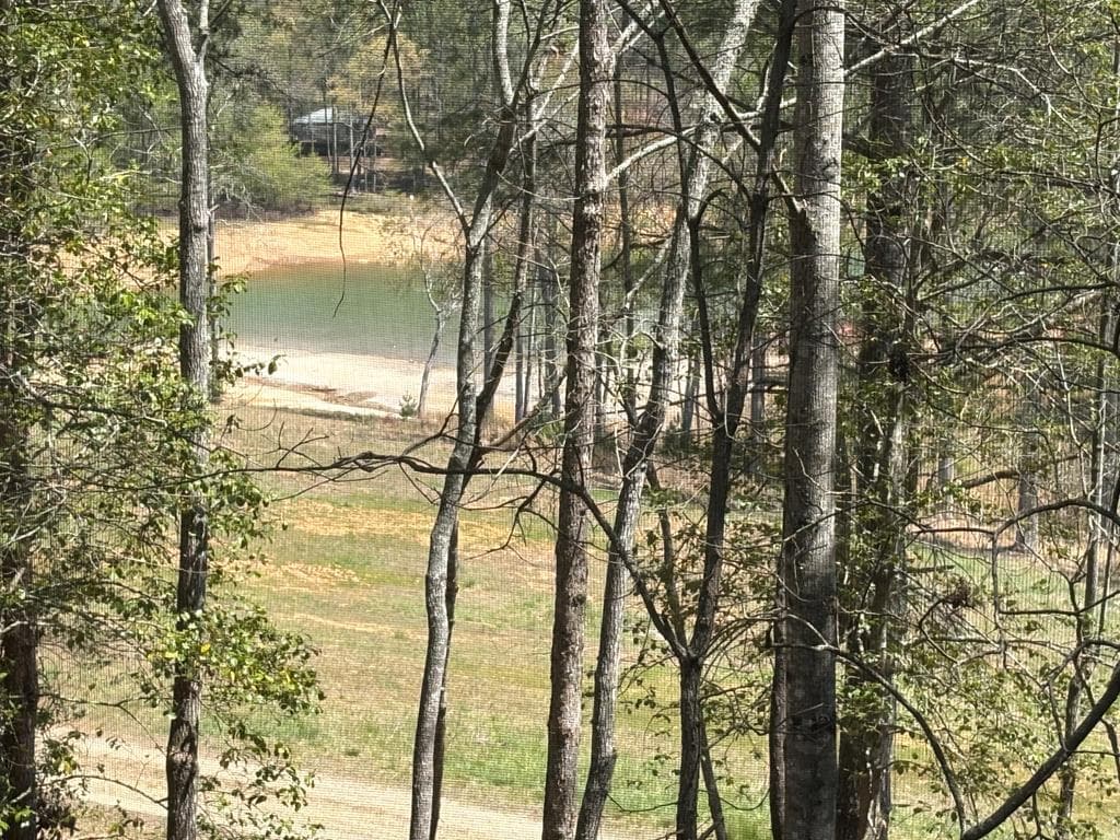 238 Virginia Lane, Blairsville GA 30512 - Photo